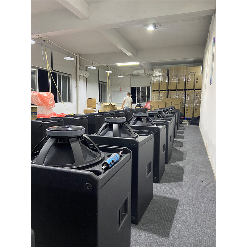 VERA S32-L 18+14-calowy pasywn – Woofer recenzja i cena